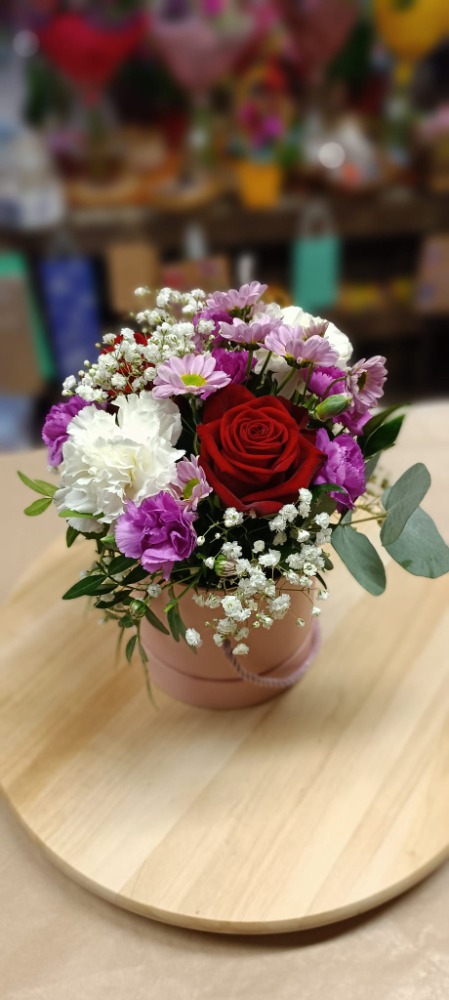 Flower box — Teri Květinka